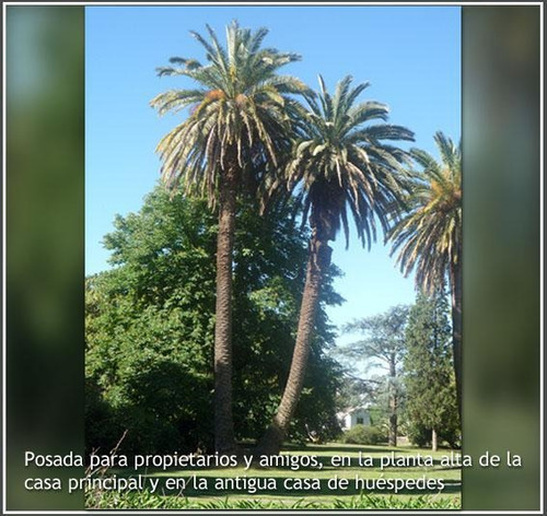 Terreno - Estancia Benquerencia