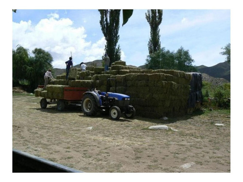 Imagen 8 de 17 de Chacra - Cachi Adentro
