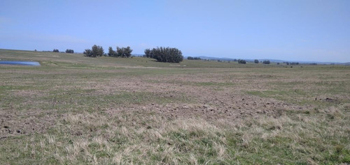 Campo En Venta