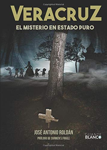 Veracruz El Misterio En Estado Puro