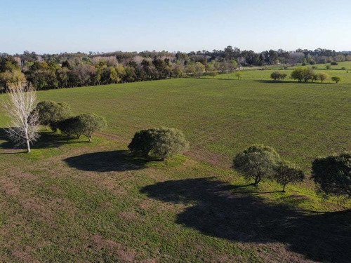 Imagen 6 de 8 de Campo En Marcos Paz