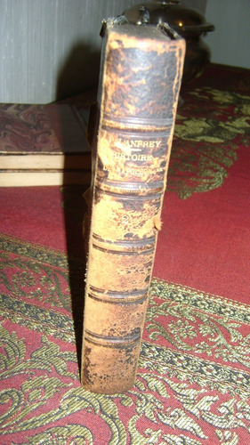 Muy Antiguo Libro Histoire De Napoleon I Tomo 12 Serie 71.10
