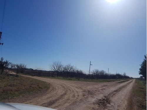 Campo De 30 Hectareas En Cañuelas Proximo Al Nuevo Mercado De Hacienda.