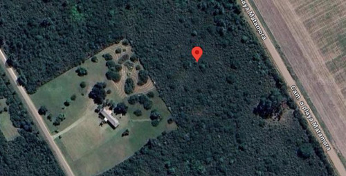 Terreno En Venta - 1 Hectárea - Matamora, Uruguay