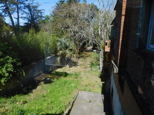 Venta Y Alquiler De Local Comercial E Roosevelt- Ref: 2481