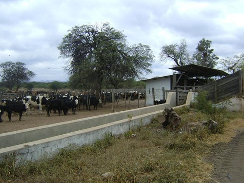 Imagen 22 de 30 de Quilino,campo Ganadero, 2700 Has