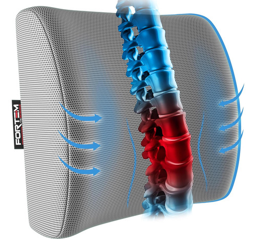 Soporte Lumbar Silla De Oficina Almohada De Soporte Lum...