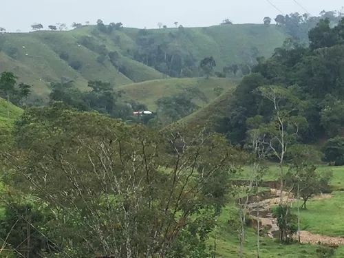 Se Vende Finca Ganadera En Doradal