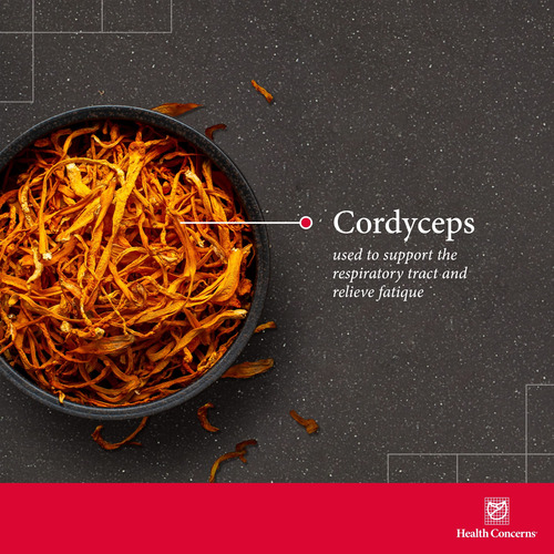 Health Concerns - Cordyceps Ps - Soporte Reparador - 50 Cáps