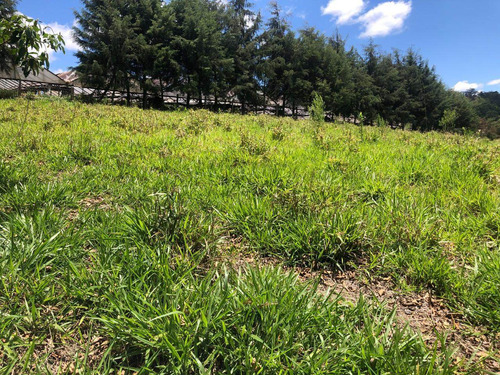B Condomínio Fechado Sem Taxa Mensal .