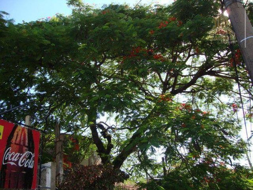 Imagem 12 de 13 de Loja Comercial À Venda, Passo D Areia, Porto Alegre. - Lo0010