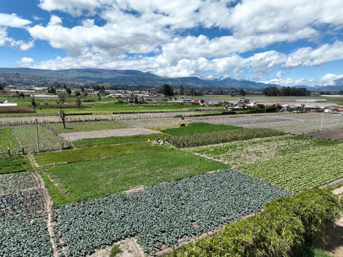 Terreno Sector Cunchibamba Ambato Salcedo - 8000 M2