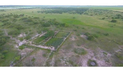 Imagen 5 de 6 de Campo Ganadero En Venta