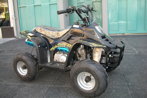 Imagen 14 de 17 de Mini Cuatriciclo Maxus Lizard 90