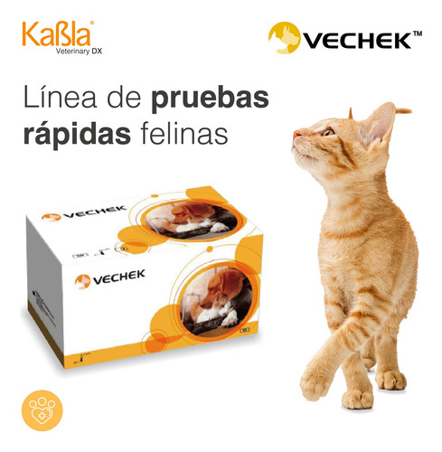 Prueba De Virus Del Herpes Felino - Con 10 Pruebas - Vechek