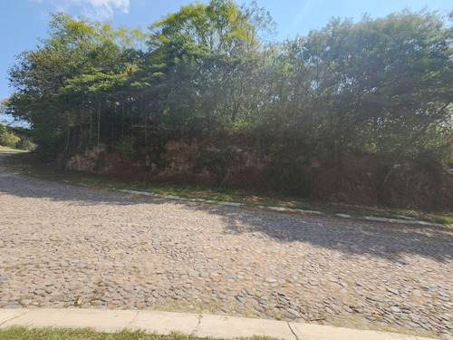 Venta Lote Glorieta Iii Muy Cerca Del Acceso Y De Las Amenidades Sobre Boulevard Fracc Rancho San Diego Ixtapan De La Sal Edomex