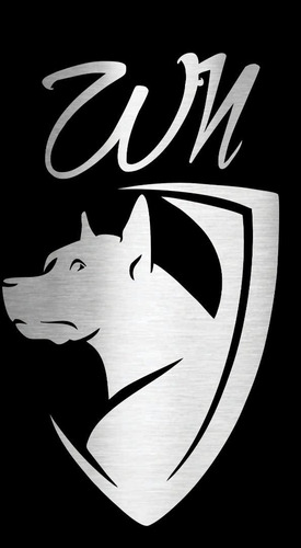 Imagem 2 de 4 de Adestramento De Cães