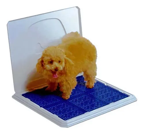 comprar Sanitário Canino Pipi Place Higiênico Para Cachorro