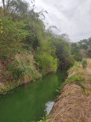 Imagen 3 de 5 de Finca O Fundo ( Parroquia San Francisco De Asís)