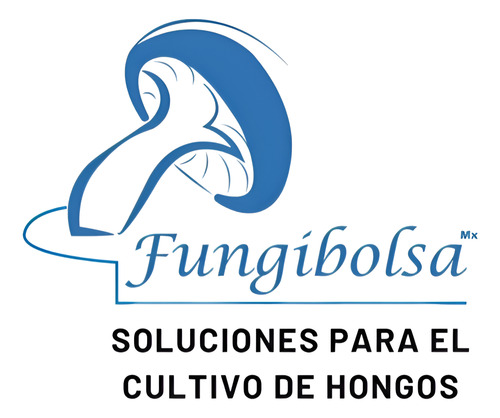 100 Bolsas Cultivo Hongo Transparentes 14*48*13 Filtro 1