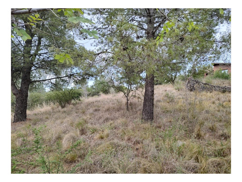Imagen 7 de 24 de Terreno En Venta De 909m2 Ubicado En Villa Giardino