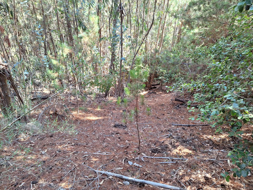 Se Vende Terreno De 5000 M2 En Condominio, Cáhuil, Pichilemu