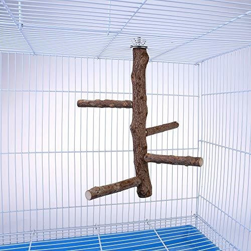 Soporte Ave Soporte De Percha Para Pájaros De Madera Natura
