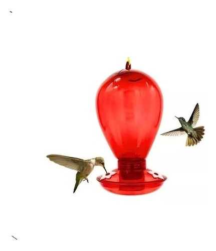 Bebedero Agua Colibrí Picaflor 1 Lt. Rojo Doggyland