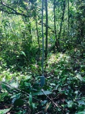 Imagem 2 de 3 de Lote De Terreno Em Itanhaém 300m² Com Documentos
