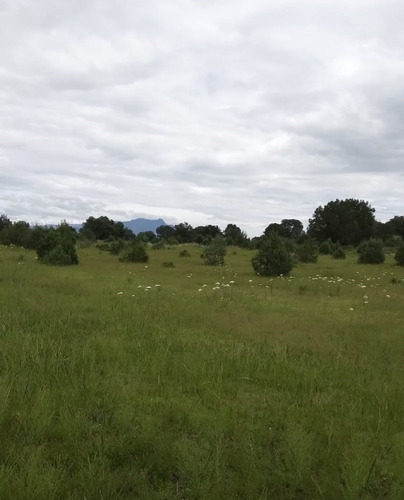 Tlaxcala , La Trasquila, Atlangatepec, Terreno, Venta