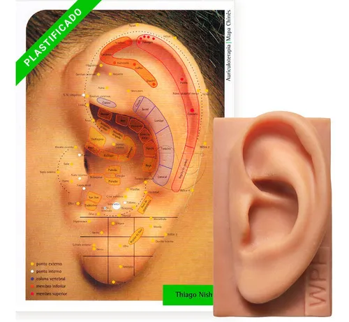 Oreja de silicona, mapa de auriculoterapia plastificado A4