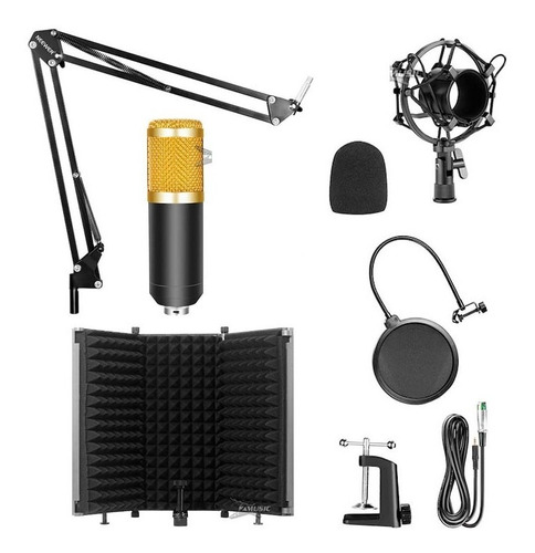 Microfono Condenser Podcast Kit + Escudo Acustico Liqm#