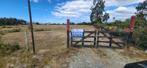 Venta Terreno-sitio  Sector Rulo En Calbuco