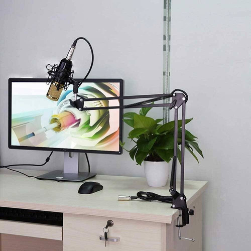 Microfono Condensador Bm800 Brazo Soporte Antipop Estudio Pc