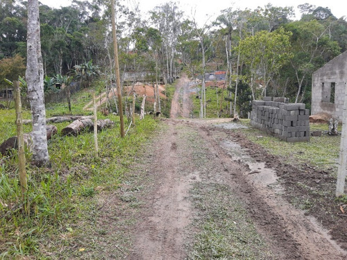 Imagem 26 de 28 de Terreno - Te00030 - 68403756