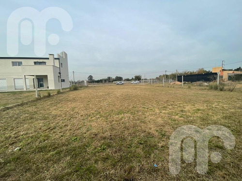 Imagen 5 de 5 de Terreno En Venta - Los Hornos