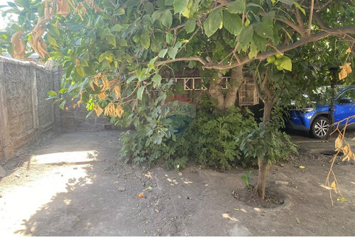 Casa En Macul: Espaciosa, Cómoda Y Bien Ubicada