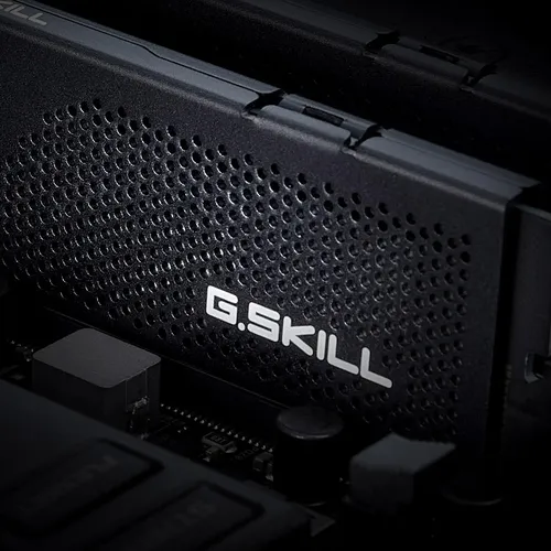 Ram Ddr5 G.skill Flare X5 Série 16 Gb (2x8 Gb) 5600 Mt/s Cl3