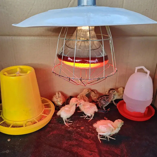 2x 100w De Aquecimento De Lâmpadas De Aquecimento De Aves Pa