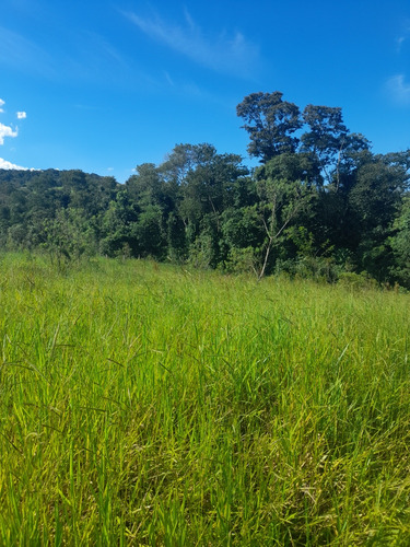 Terreno A Venda