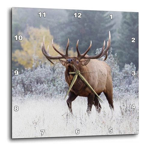 3d Rose Rocky Mountain Bull Elk Wall Clock, 15  X 15 