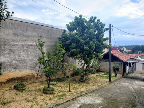 Imagem 1 de 16 de Terreno-são Paulo-campo Grande | Ref.: Reo461588 - Reo461588
