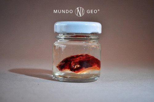 Mineral Ópalo De Fuego En Bruto