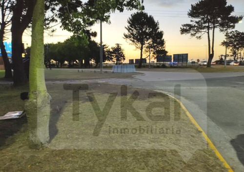 Imagen 2 de 2 de Hermoso Lote En El Acceso A San Bernardo Apto Comercial 600 Mts