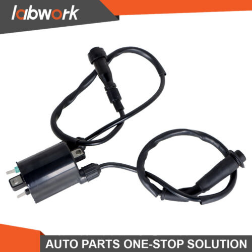 Labwork Ignition Coil & Spark Plug Cap For Honda Shadow  Aaf