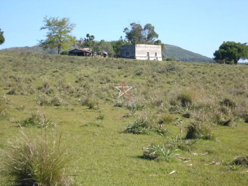 Campo 96 Has En Carape Cuenta Con Costa De Arroyo.