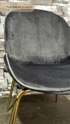Pack 4 Sillas Beetle Gold