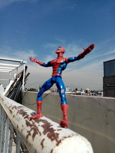 Marvel Legends Spider Man Imanes Toybiz Classics