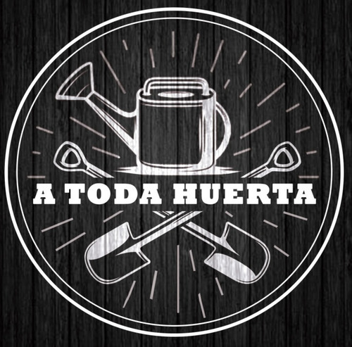 Semillas Espinaca X Sobre Huerta En Casa