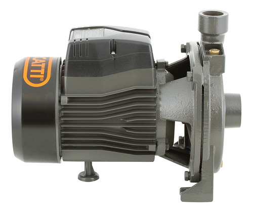 Bomba Superficie Centrífuga 1,5hp Bercatti//cyj